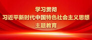 a我好痒网站在线观看学习贯彻习近平新时代中国特色社会主义思想主题教育_fororder_ad-371X160(2)